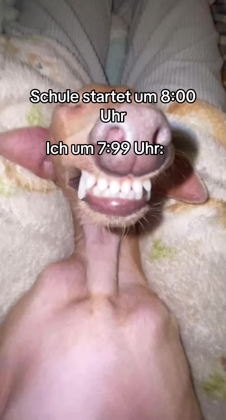 @Ententv1