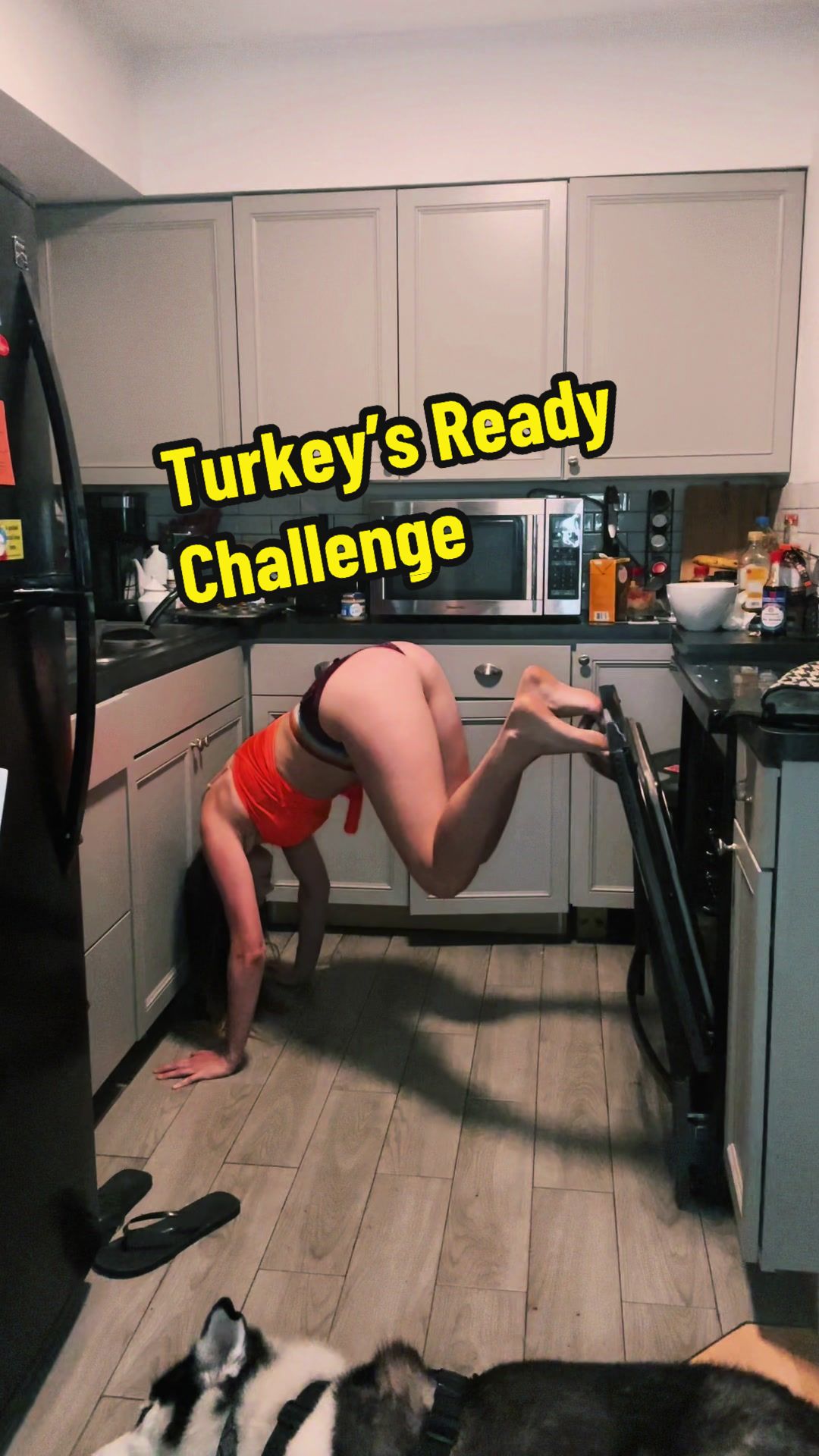 @theshellc
