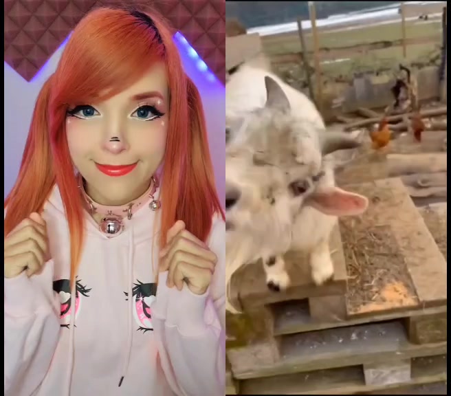 @Motfrais