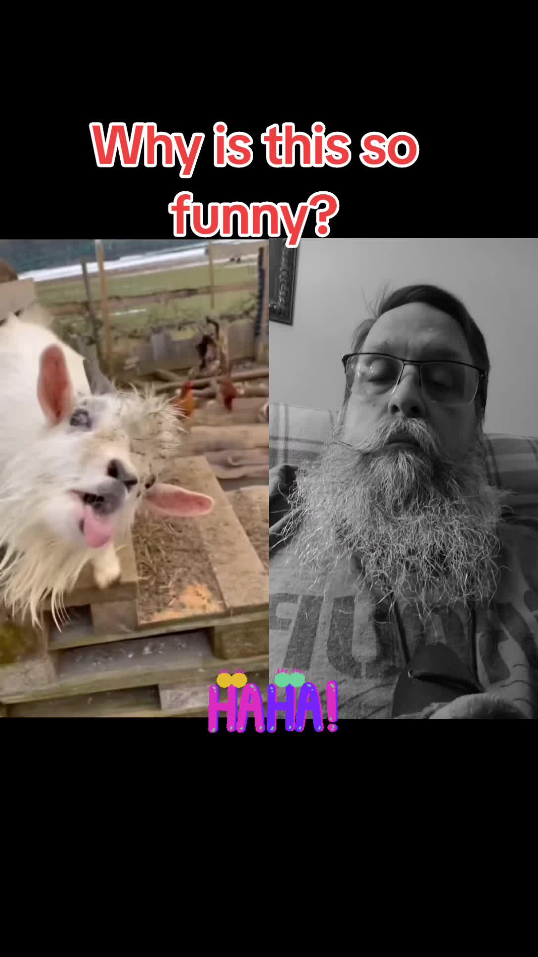 @TheCaffeinatedBeard