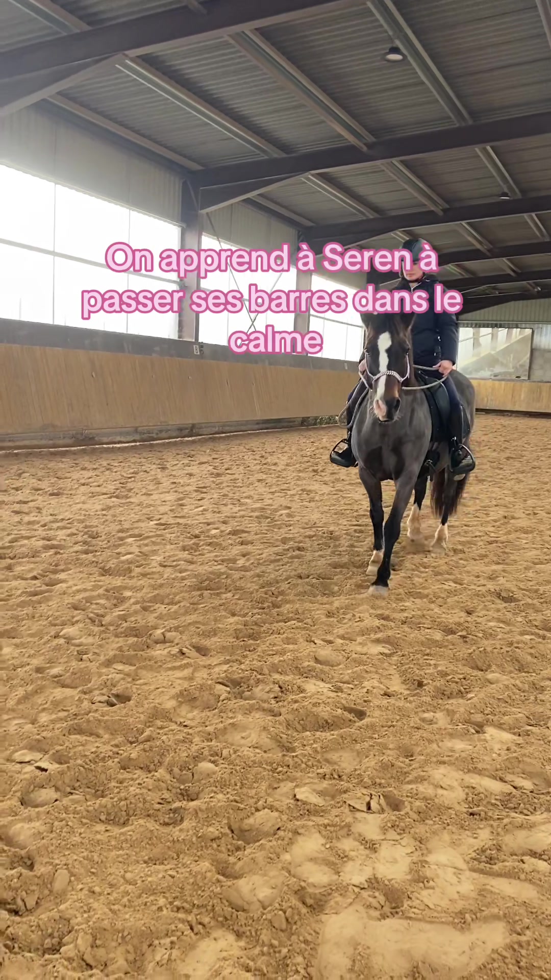 @Seren the pony 🐴