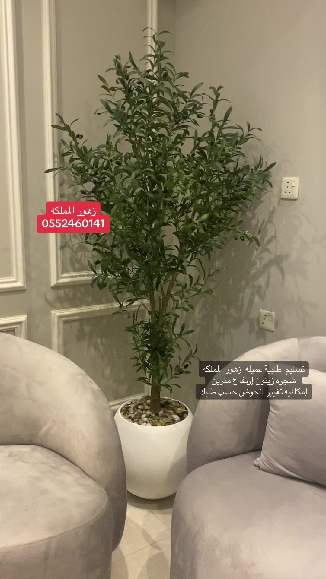 @الشجره الراقيه(زهور المملكه)🌴