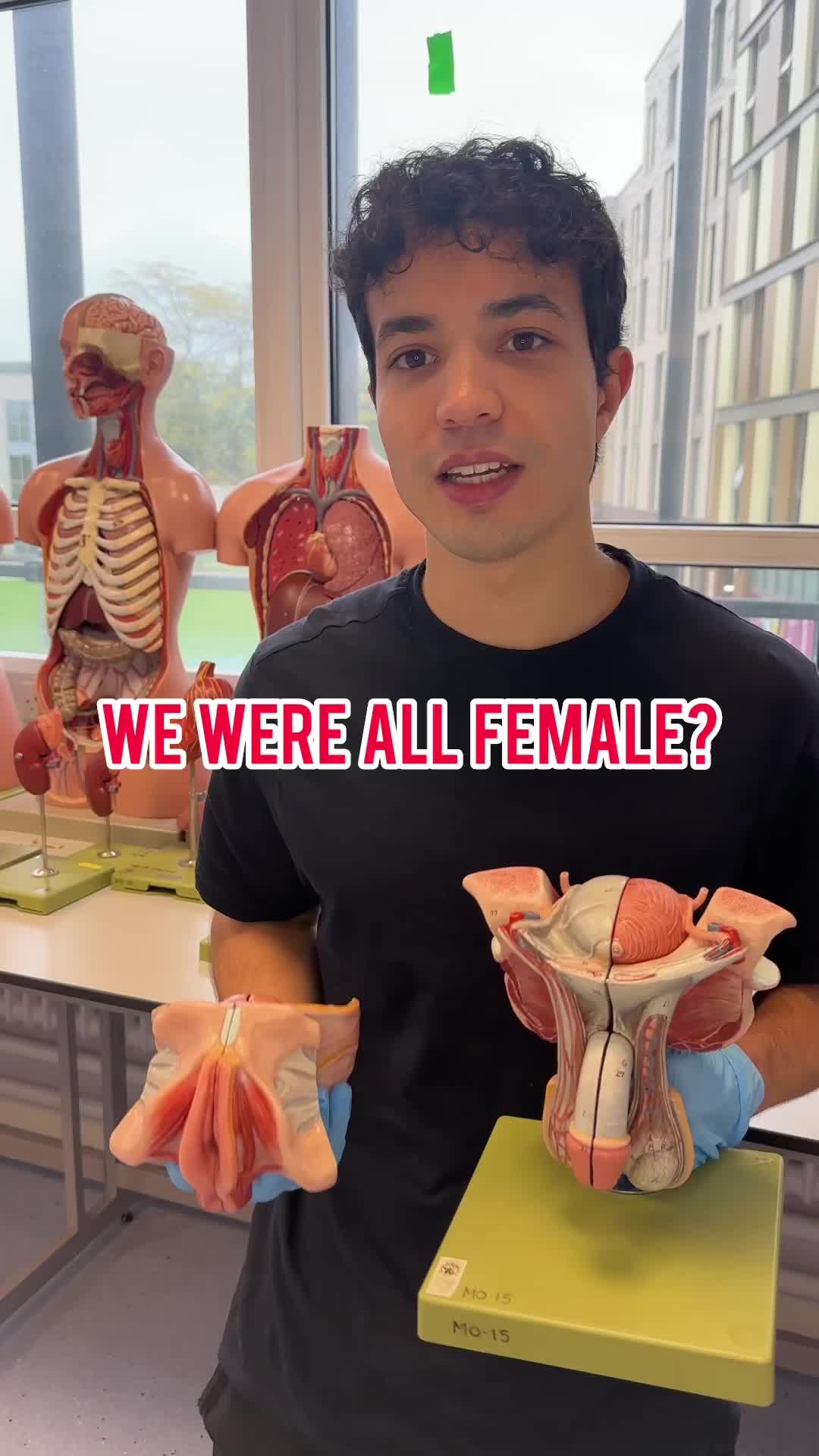 @Med twins
