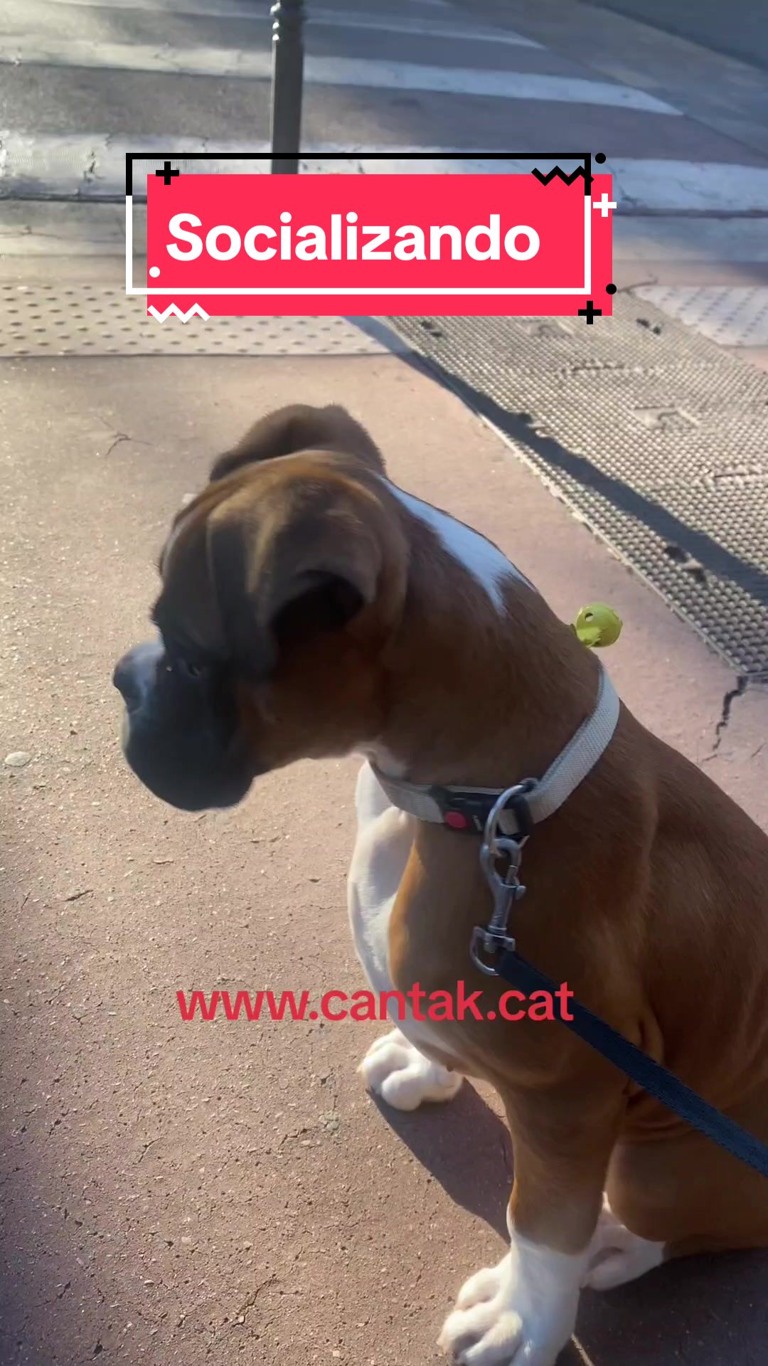 @CanTak