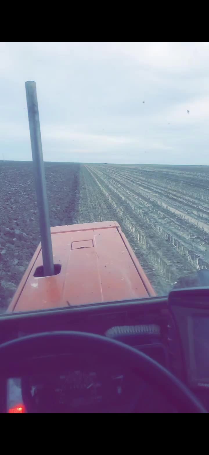 @valentindumetz792