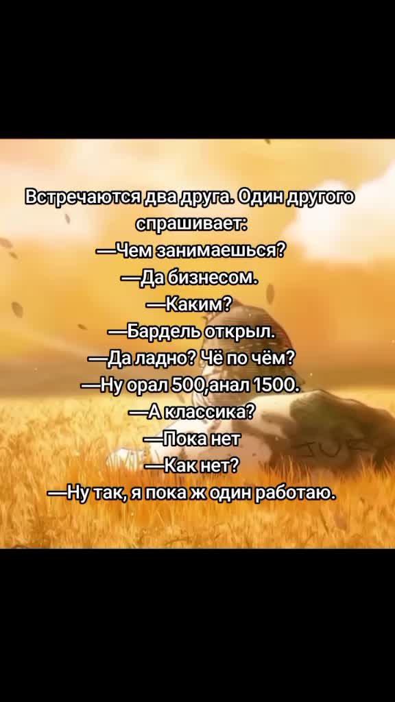 @Шутки от Торфинна