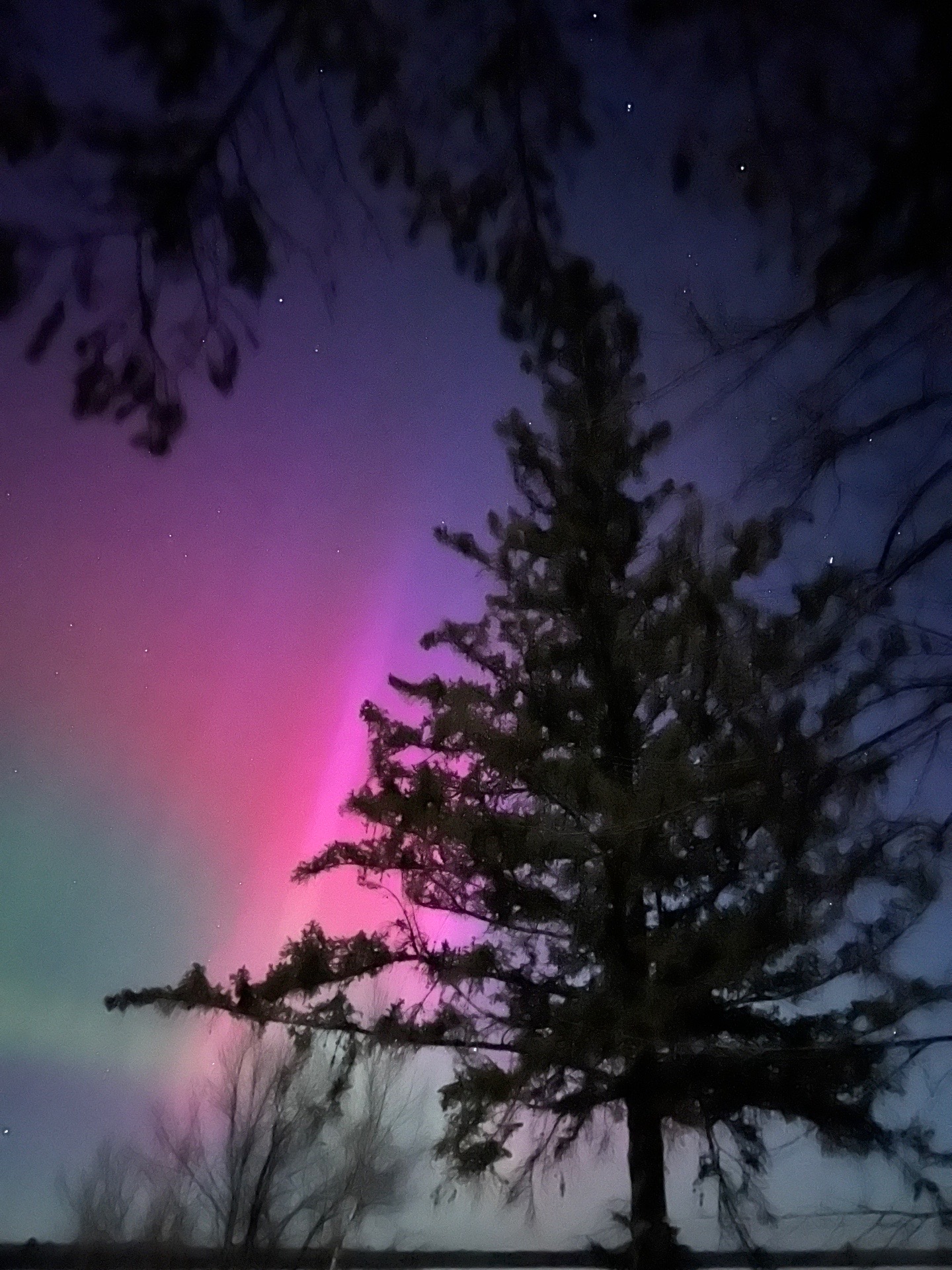@UpNorth365