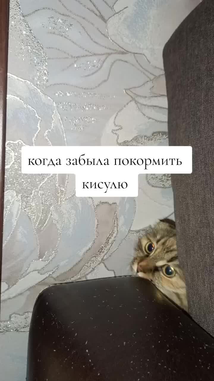 @фрося