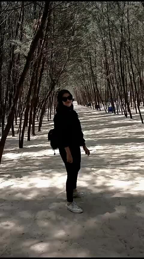 @eridanistore