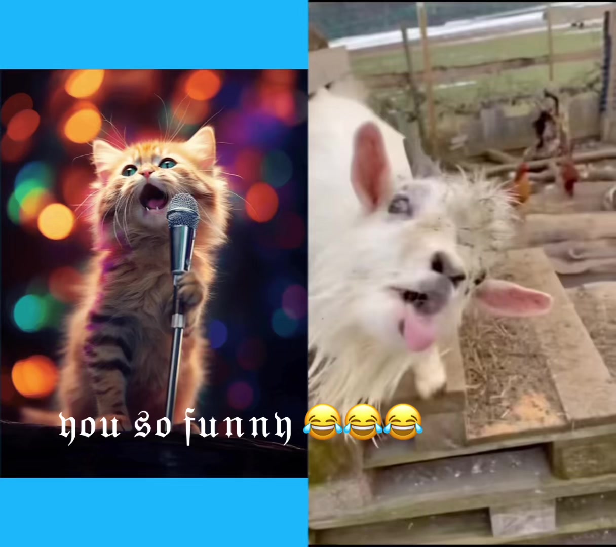 @Susanna