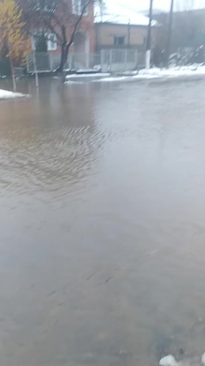 @😶&zwj;🌫️