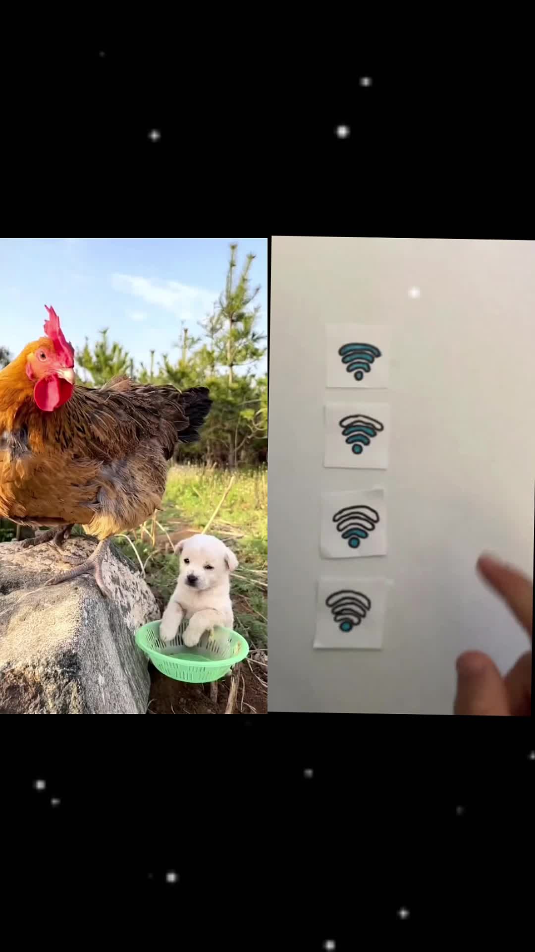 @MAX657646