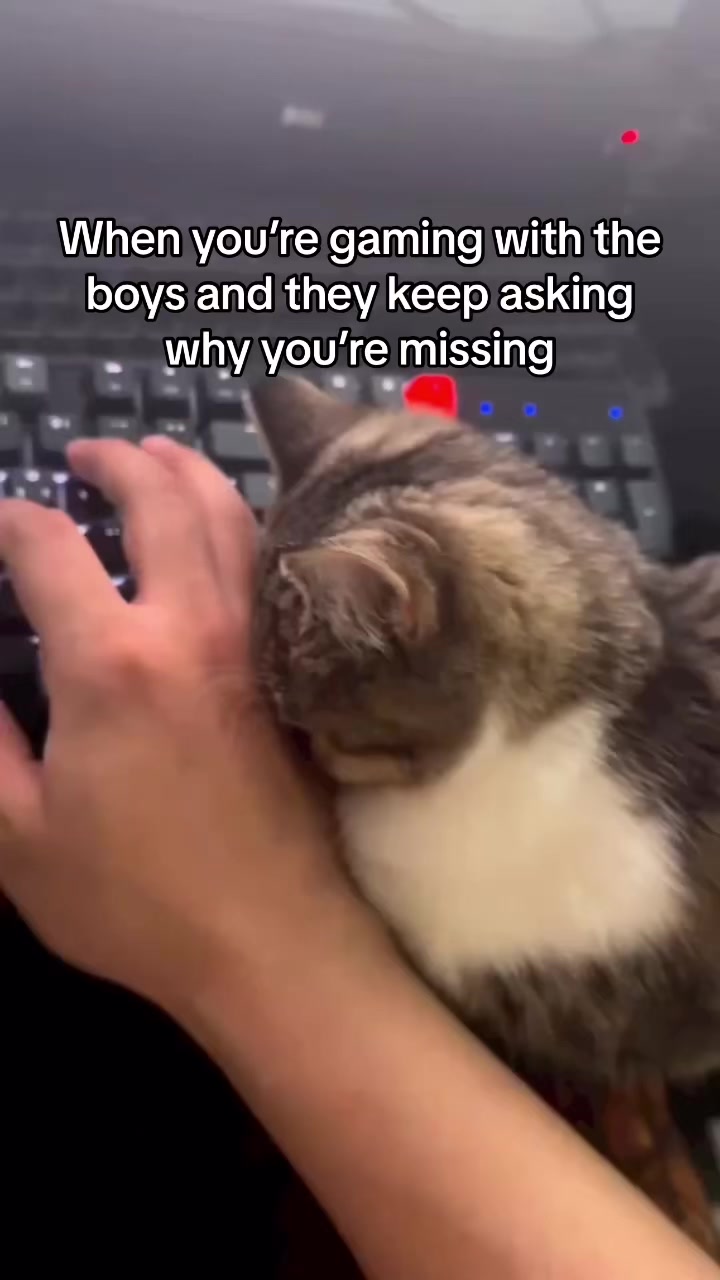 @Monstercat
