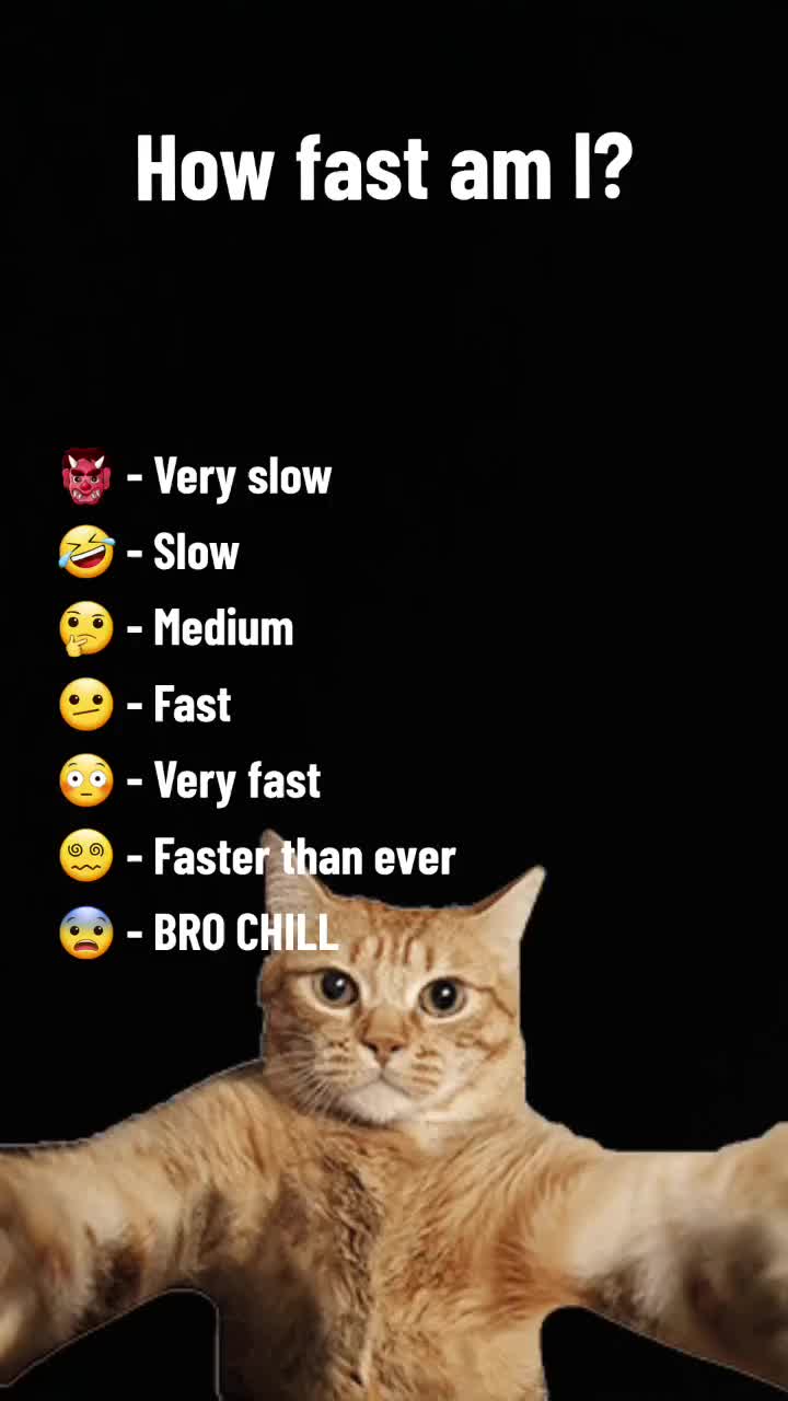 @Patrick Amara the Emoji Cat