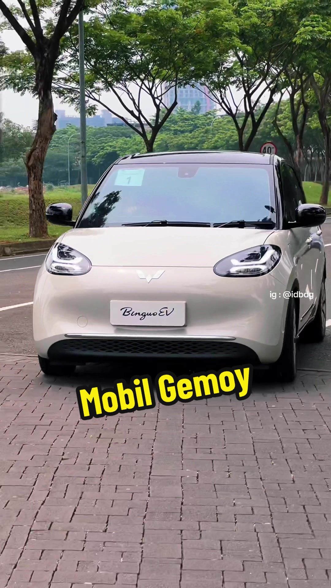 @idbdg