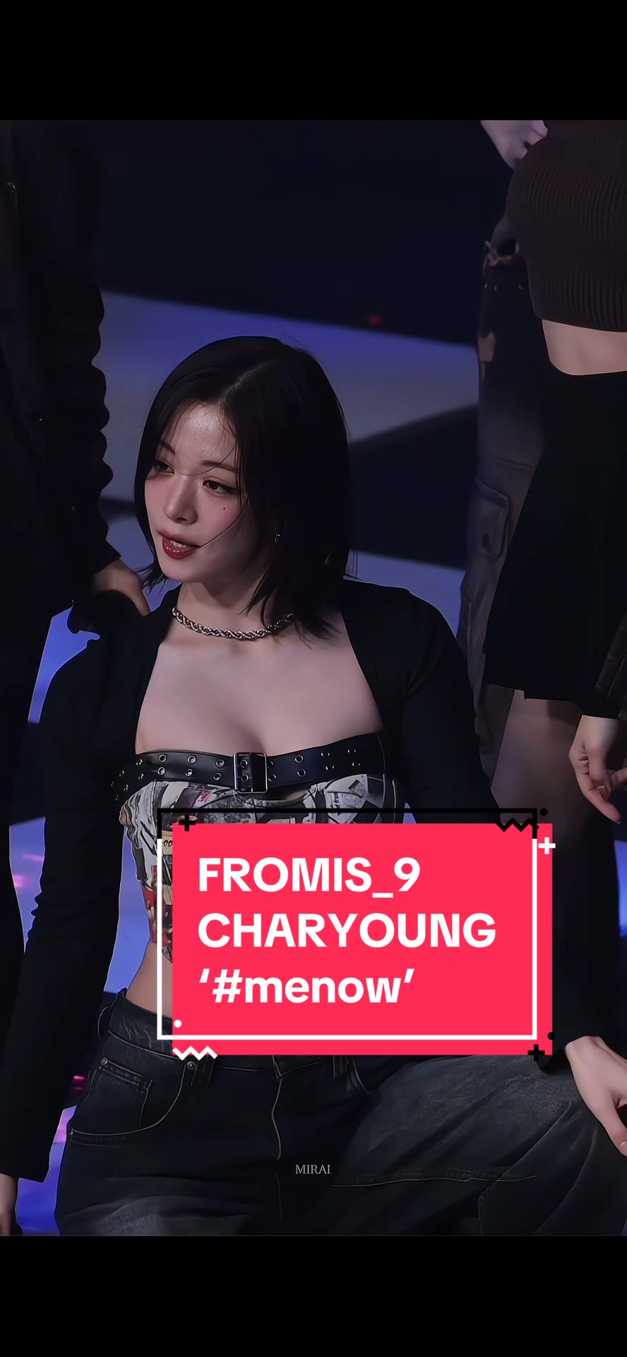 @venus fancams ★