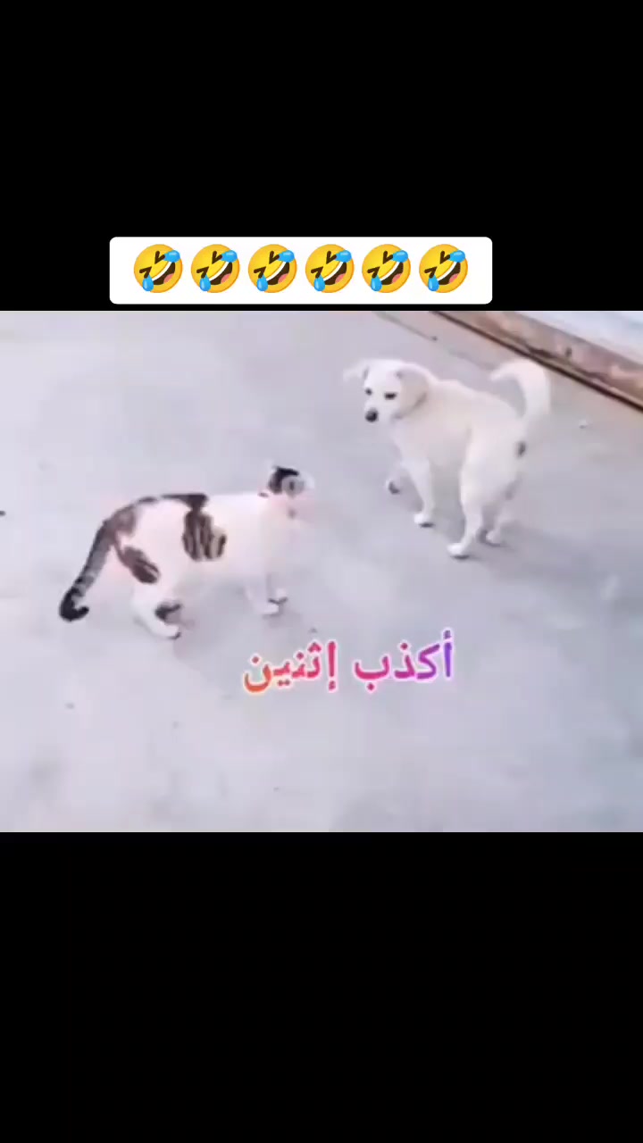 @Zina🇩🇿❤️🇸🇩