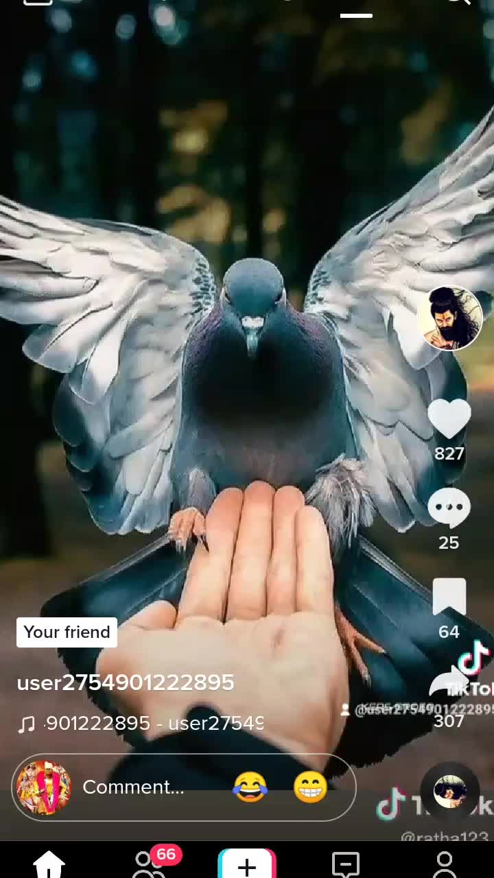 @Senthilkumar