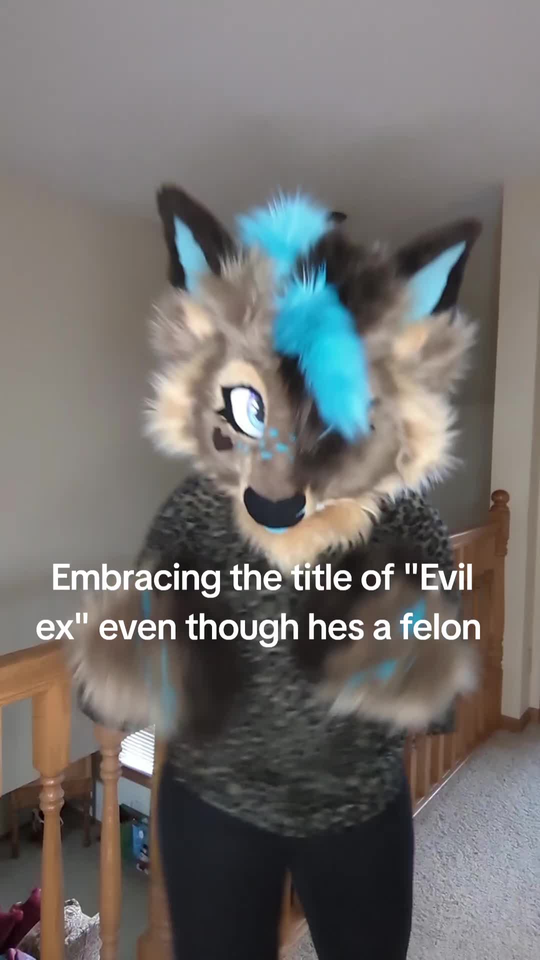 @Nexa Ferret