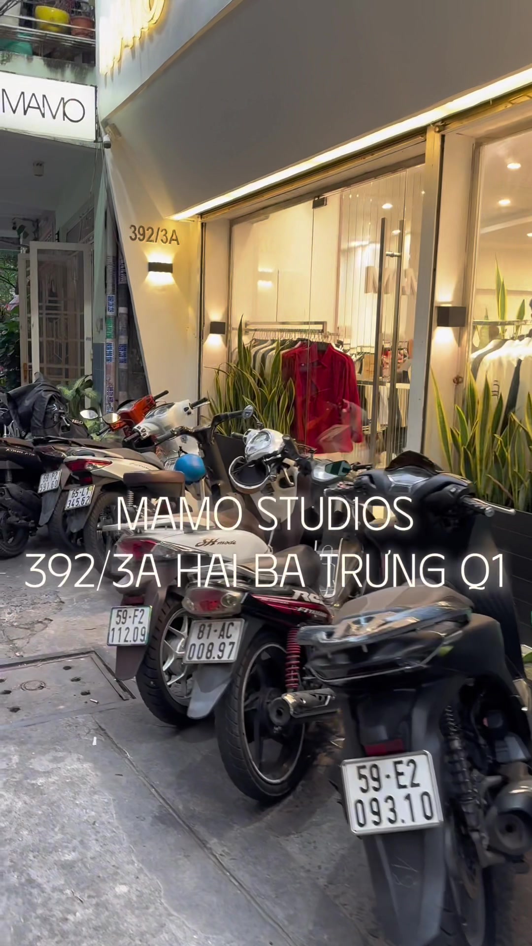 @MAMO STUDIO
