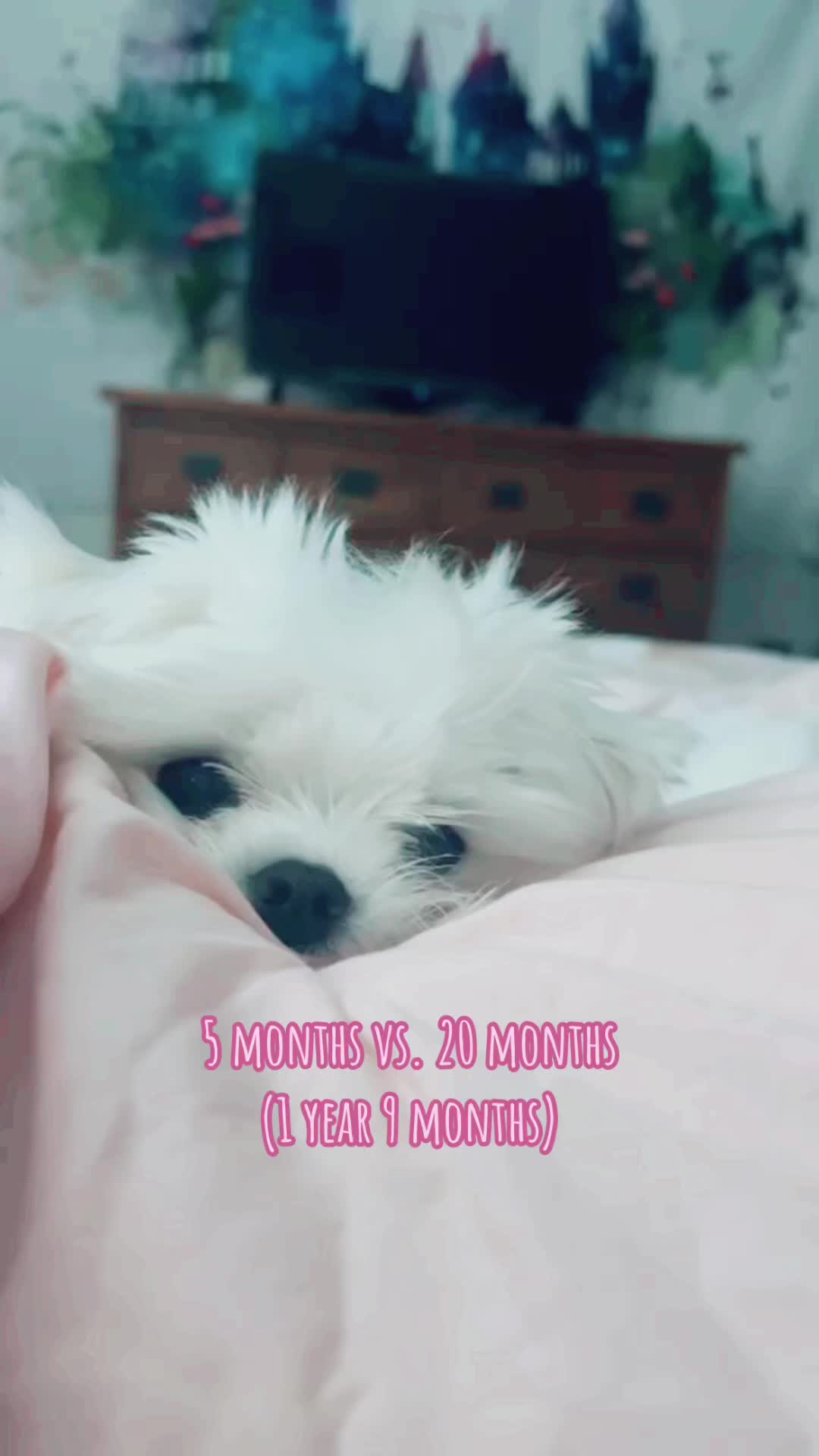 @𝓙𝓪𝓶𝓻𝓮𝓷𝓼𝔃𝓮🌺