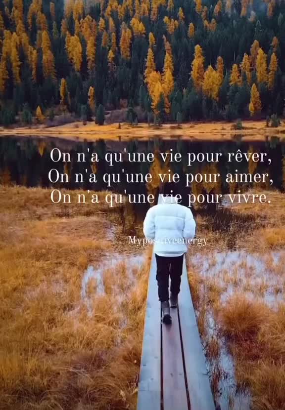 @Renaud Vlm
