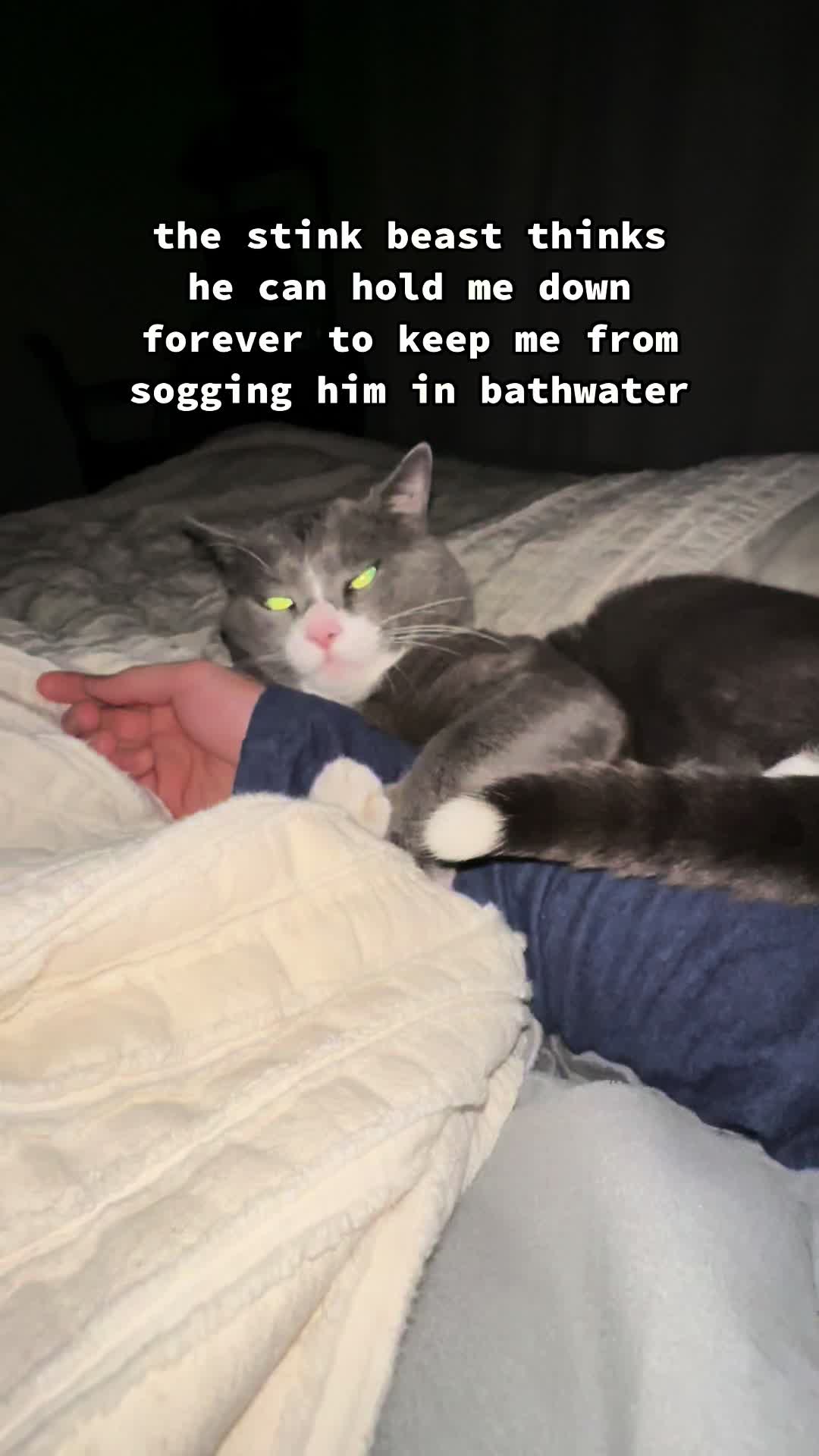 @stinkwalker
