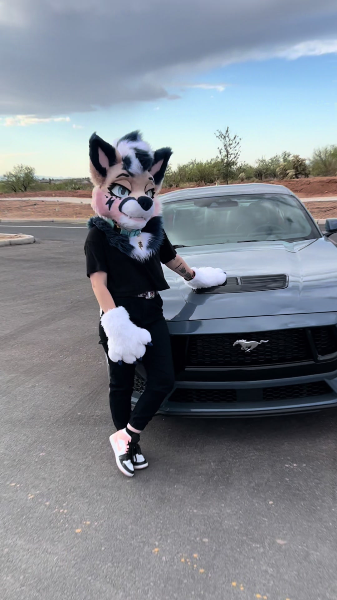 @⚡️Knox Coyote