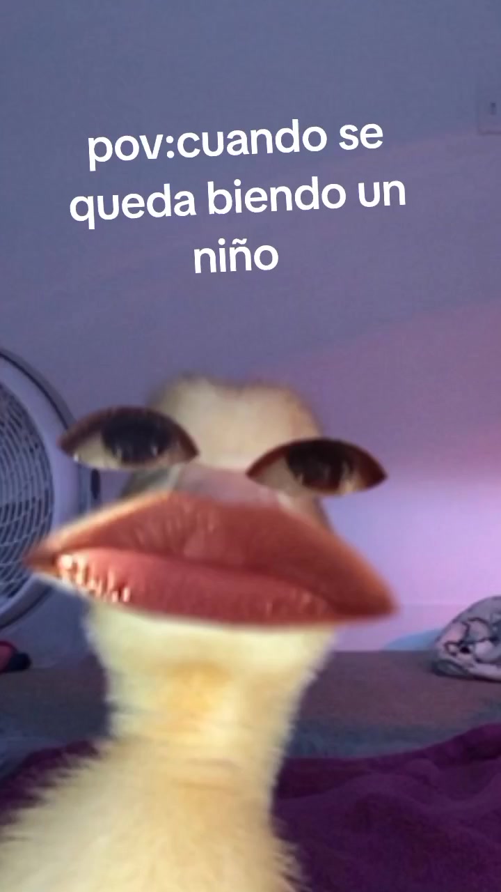 @steysi xxd