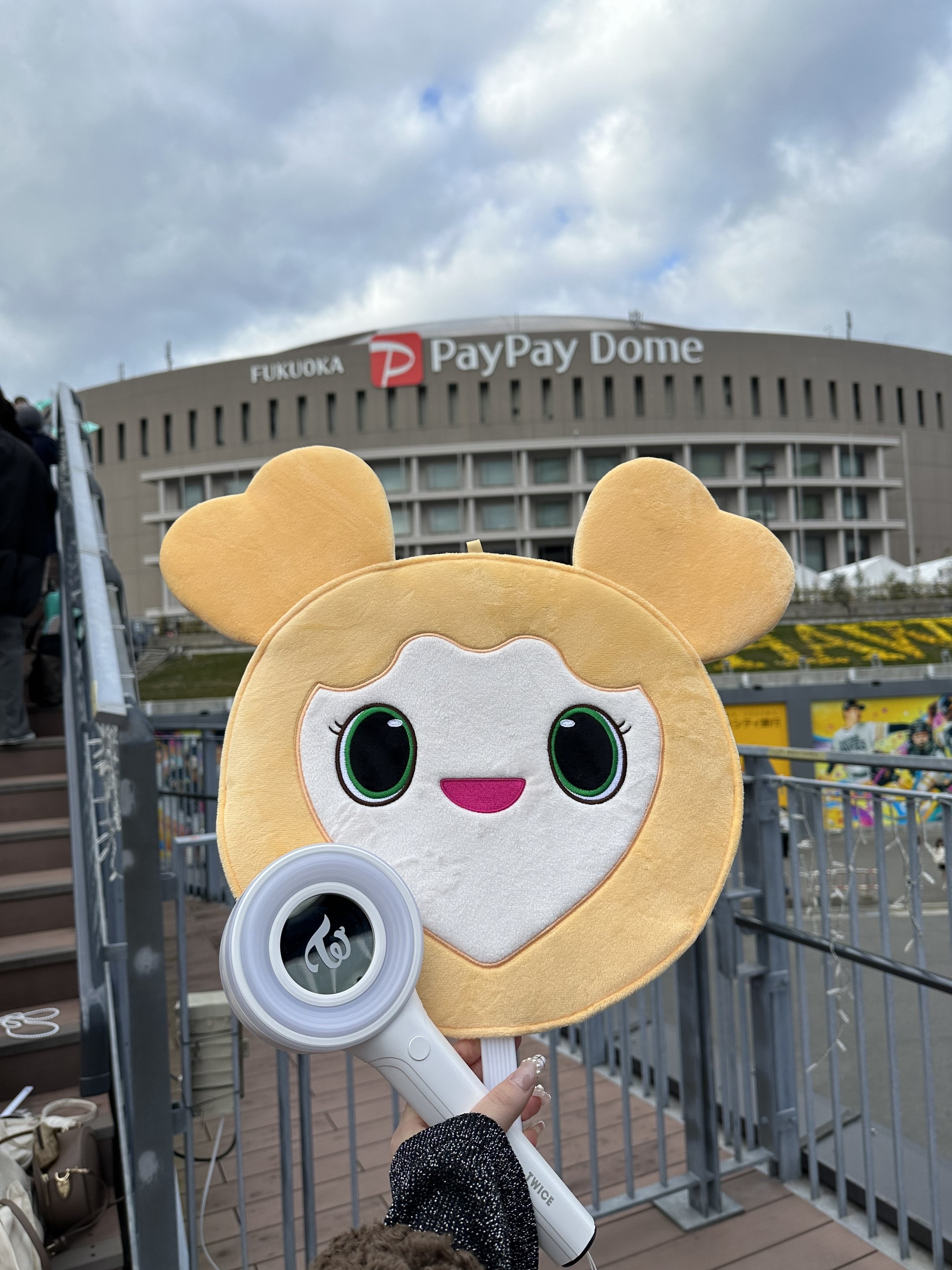 @はらぺこあおむし🐛