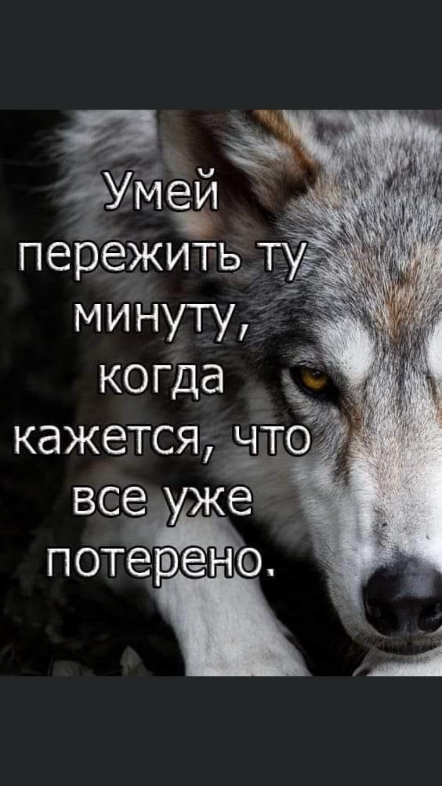 @Джаниев