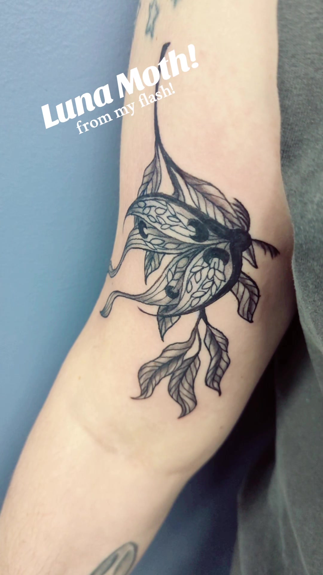 @Cami Thunder Ink Tattoos & Art