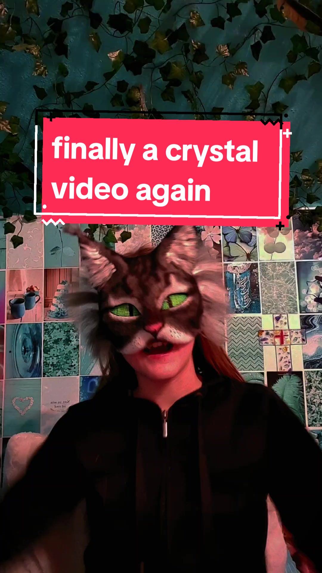 @🌾🌿🌙𝓜𝓸𝓸𝓷𝓵𝓲𝓰𝓱𝓽🌙🌿🌾