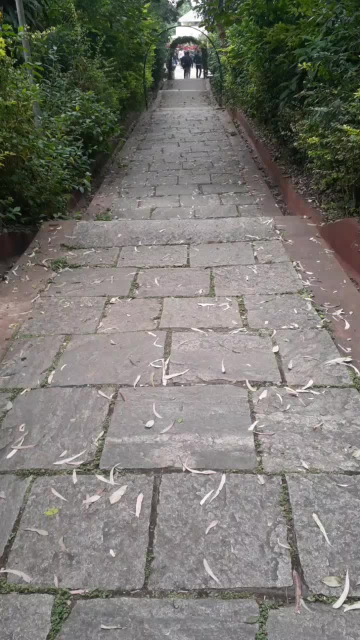 @user6424973072693