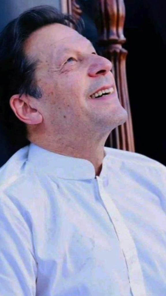 @Cornered Tigers