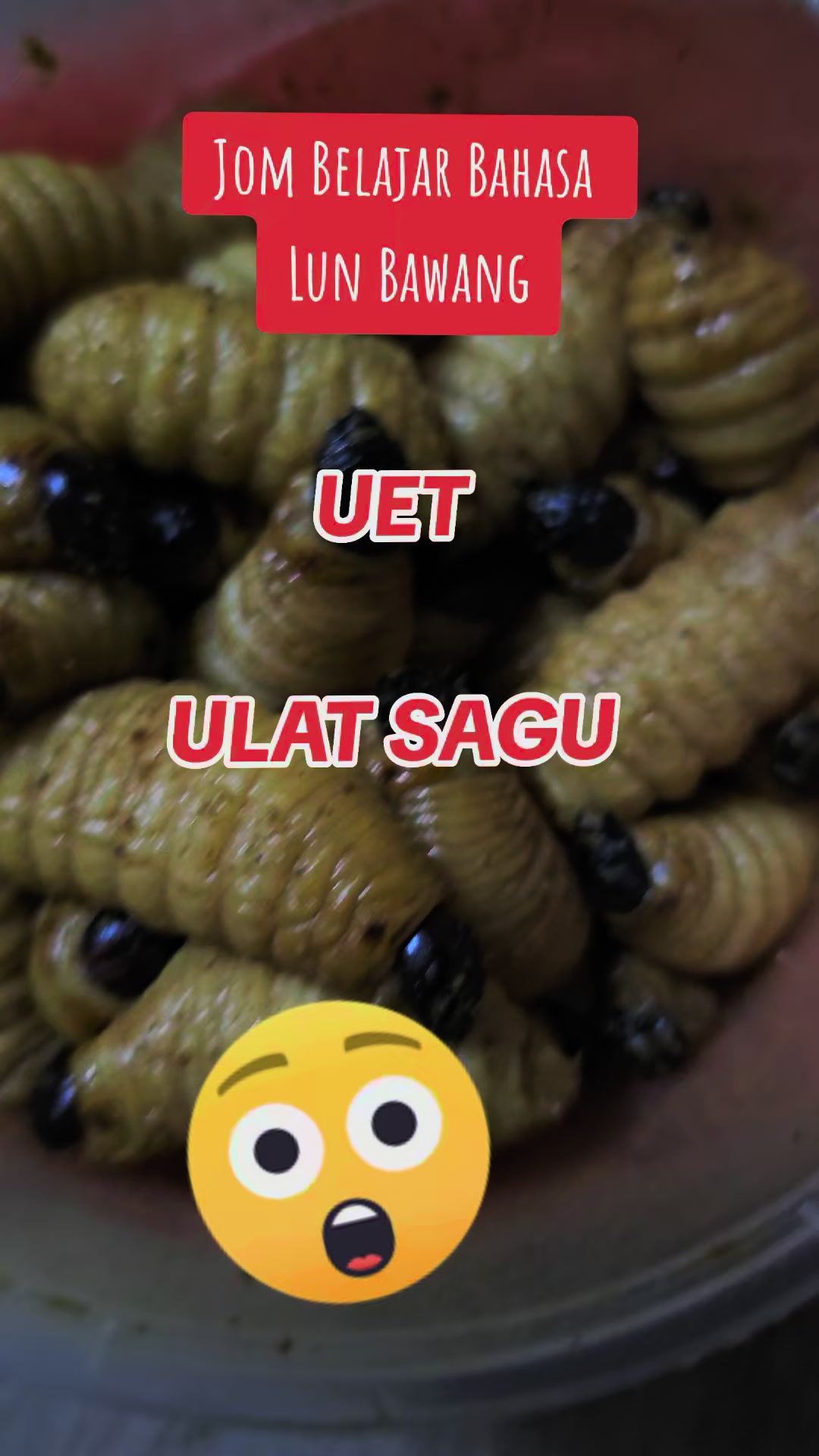 @Uinikelem