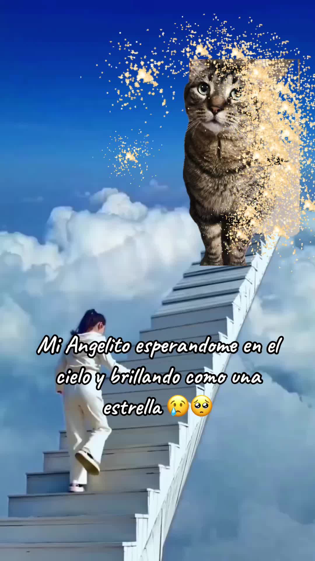 @🦖 MEOWassic CAT😺