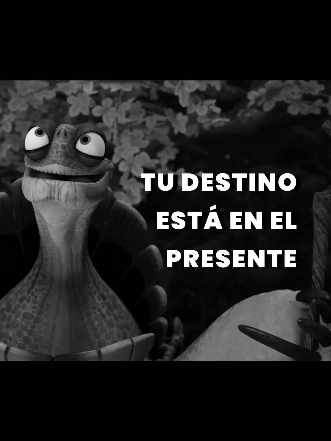 @soypaulvidal