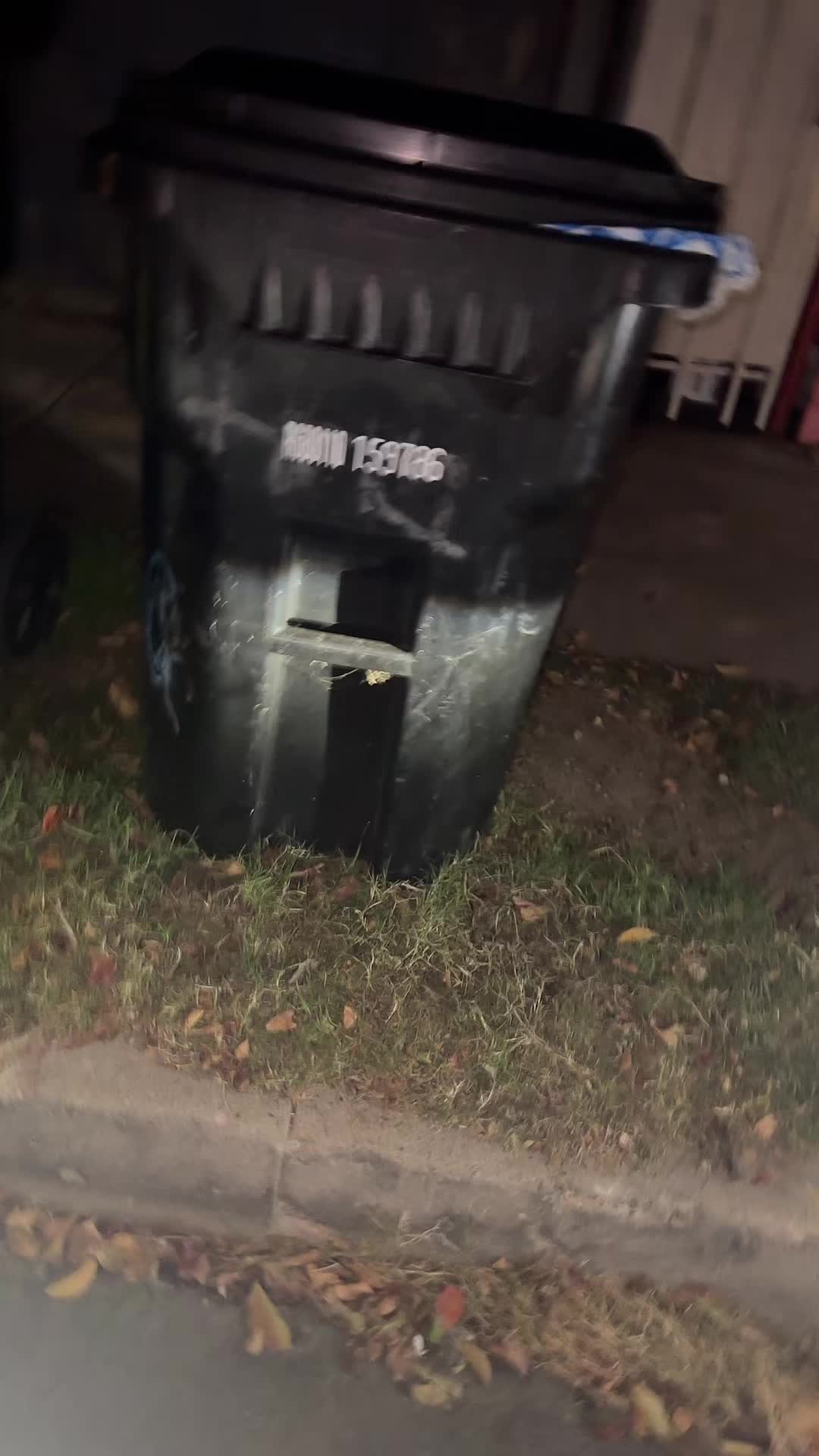 @alsuuu