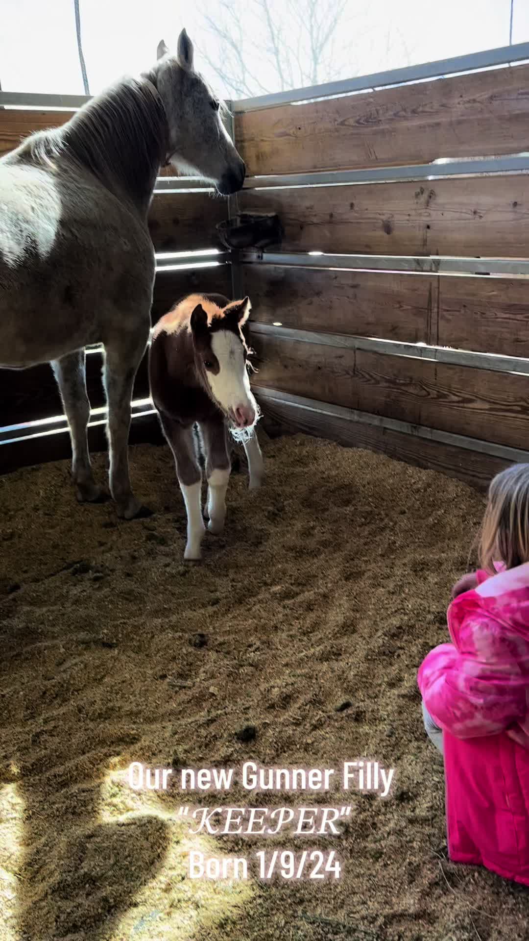 @Larson Performance Horses