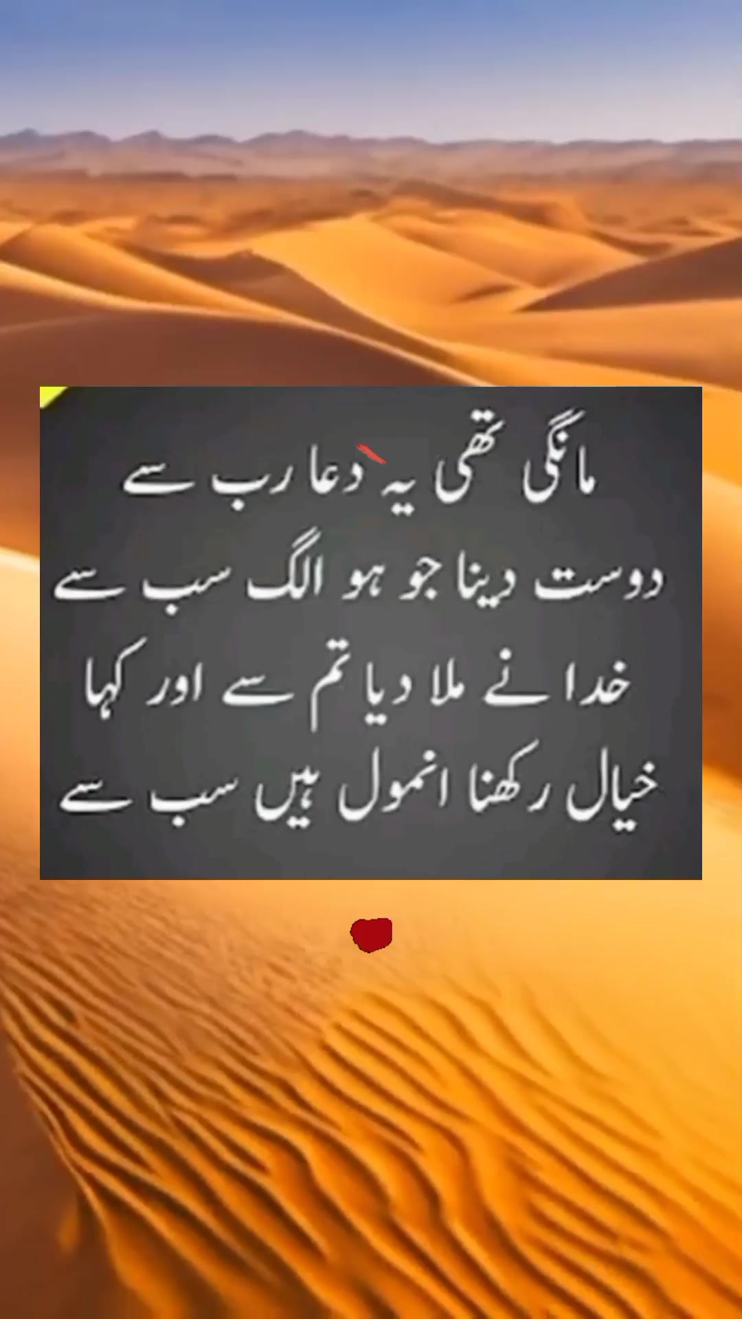 @sharaiz