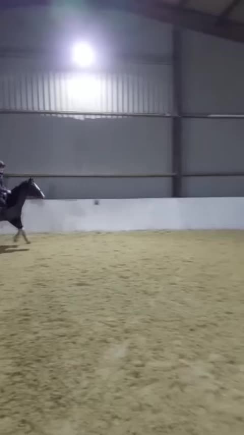 @iisqooq