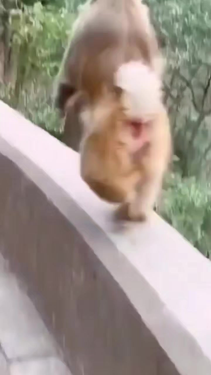@monkeycaco77