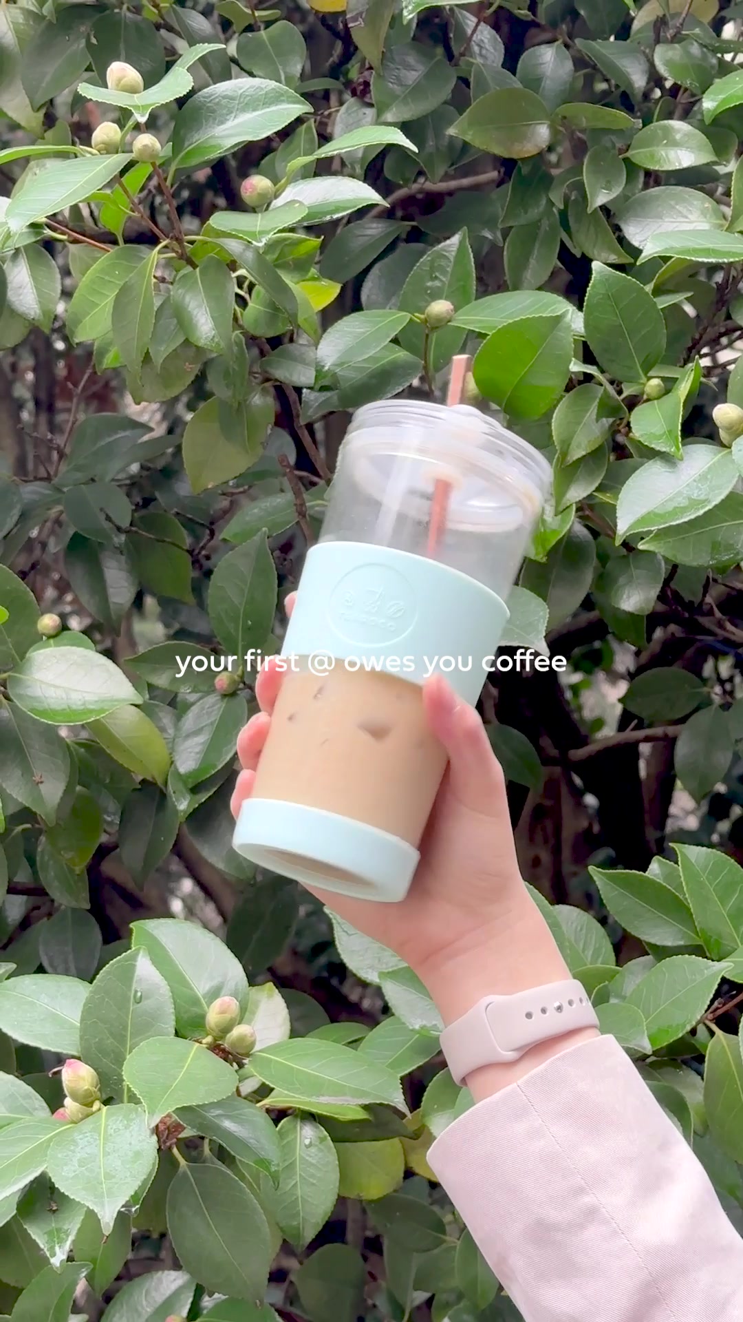 @Teaboco