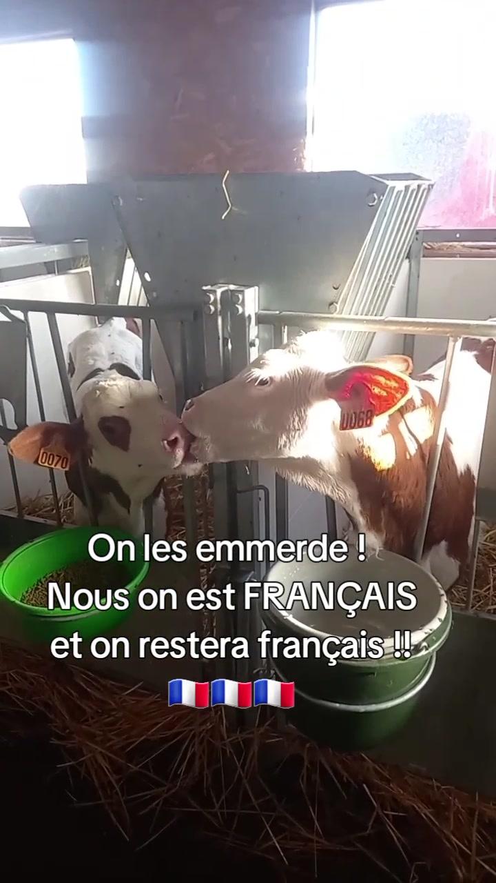 @La p&rsquo;tite agri !