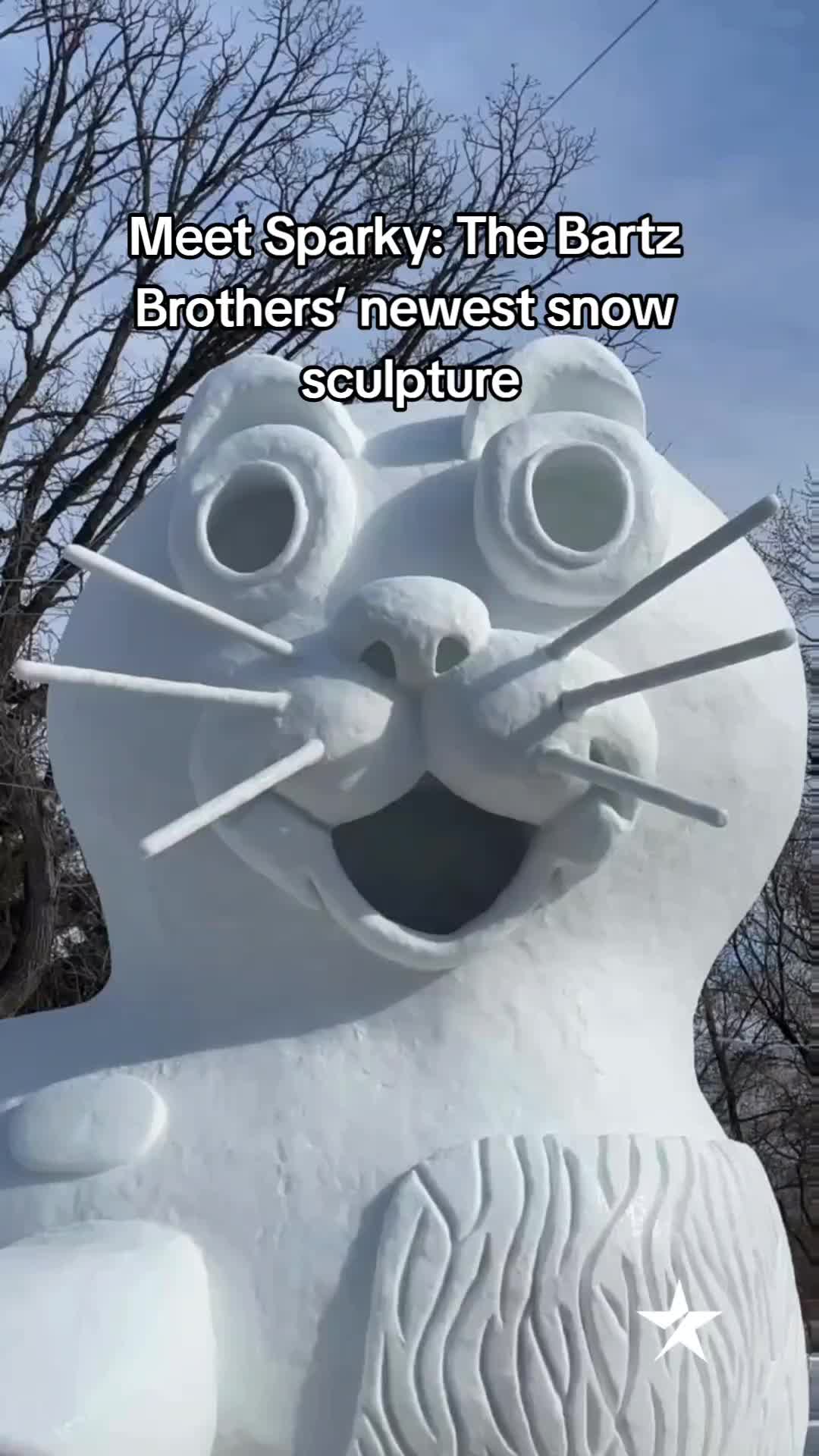 @Minnesota Star Tribune