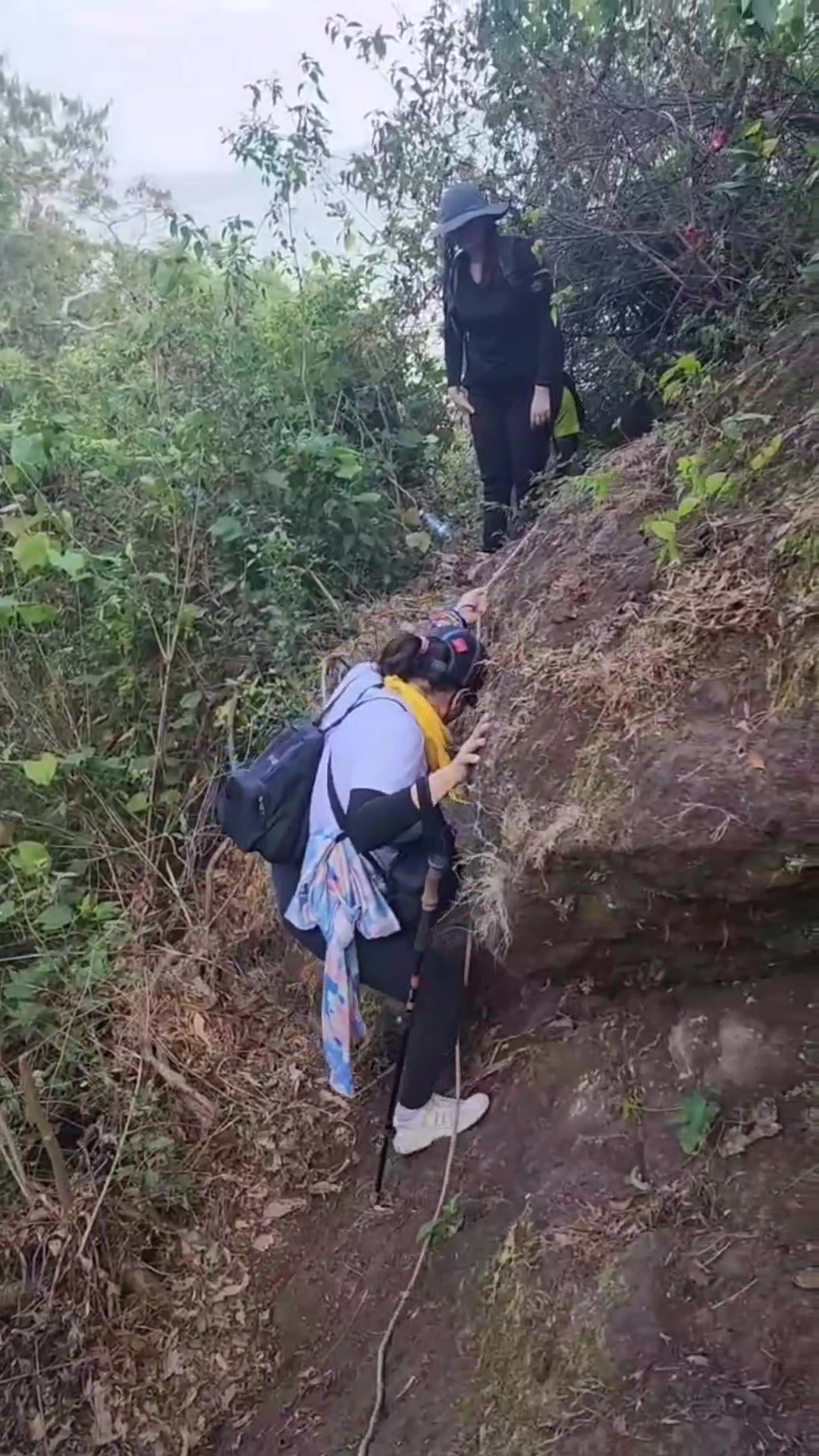 @rosmeritosv🇸🇻🌿🇸🇻
