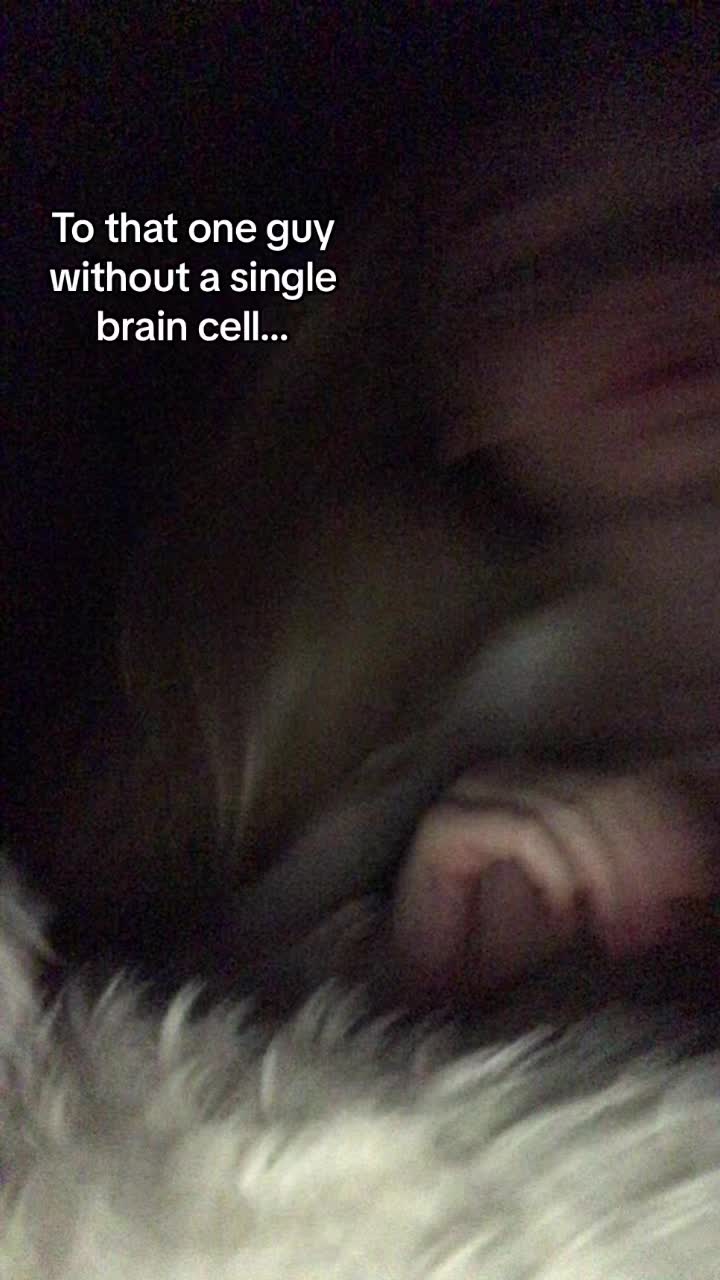 @_amelitude