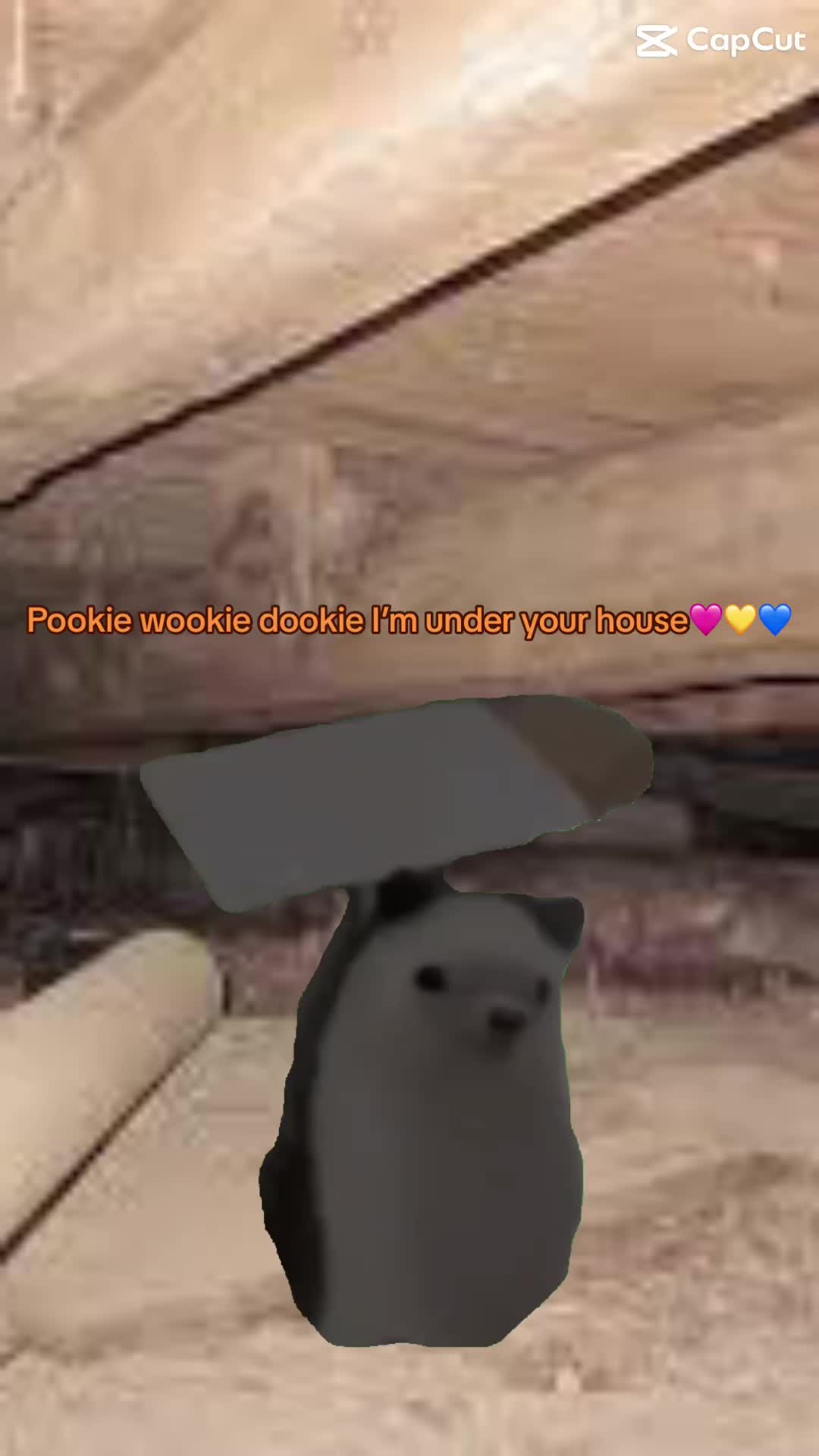 @a_random_account_._._