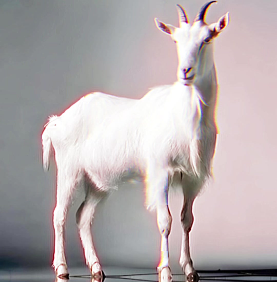@EmbraceChrist